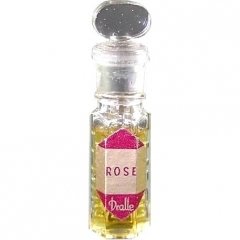 Dralle's Illusion - Rose